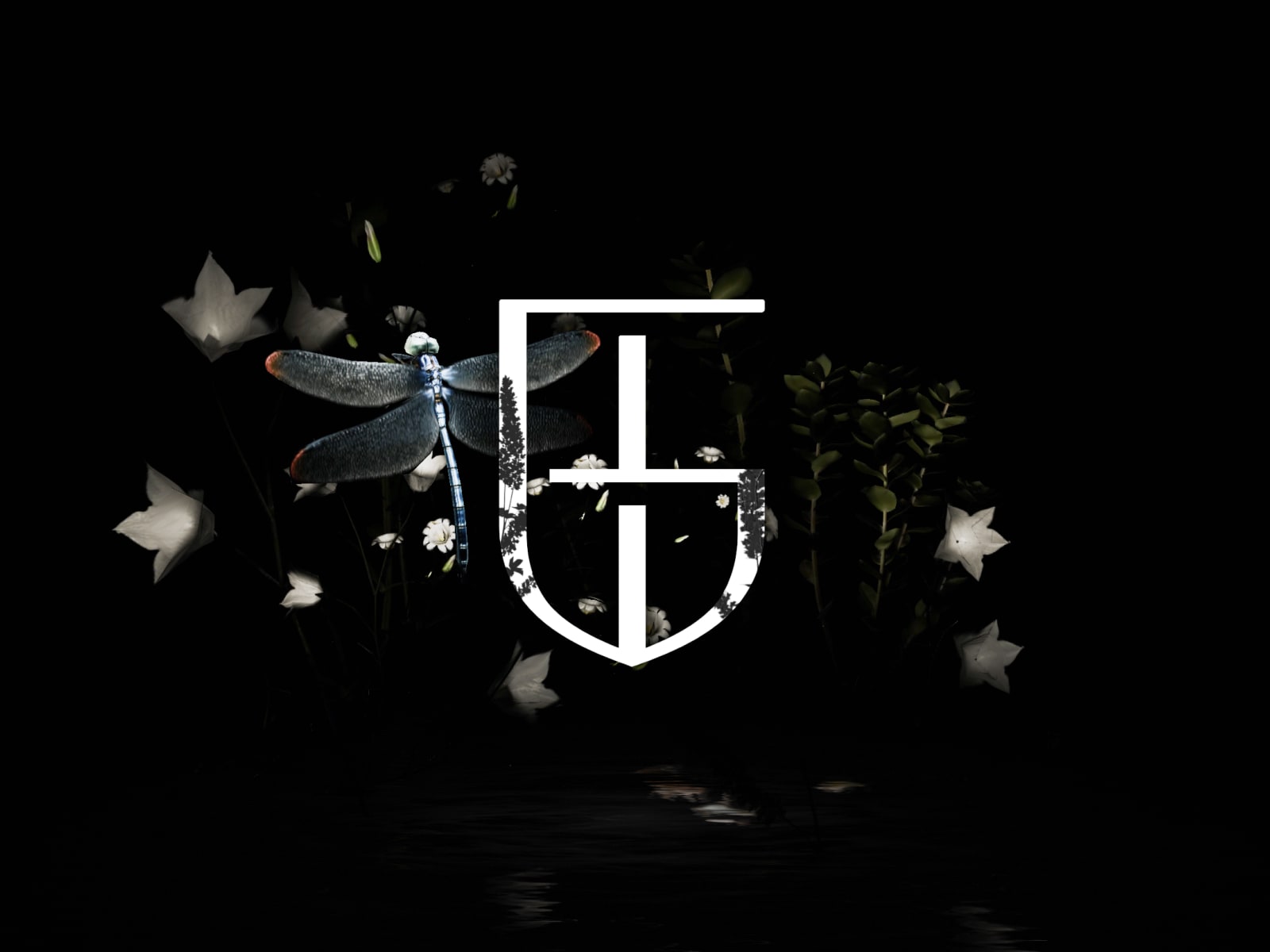 675b283b15079130585030